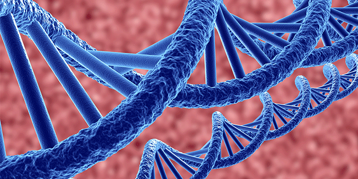 DNA