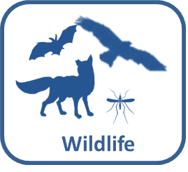 Wildlife