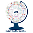 GMI Logo